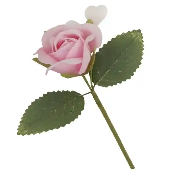 Fiori e dettagli